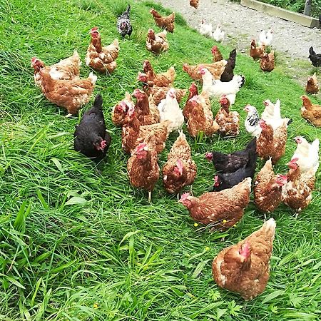 Aberghof Διαμέρισμα Fügen Εξωτερικό φωτογραφία