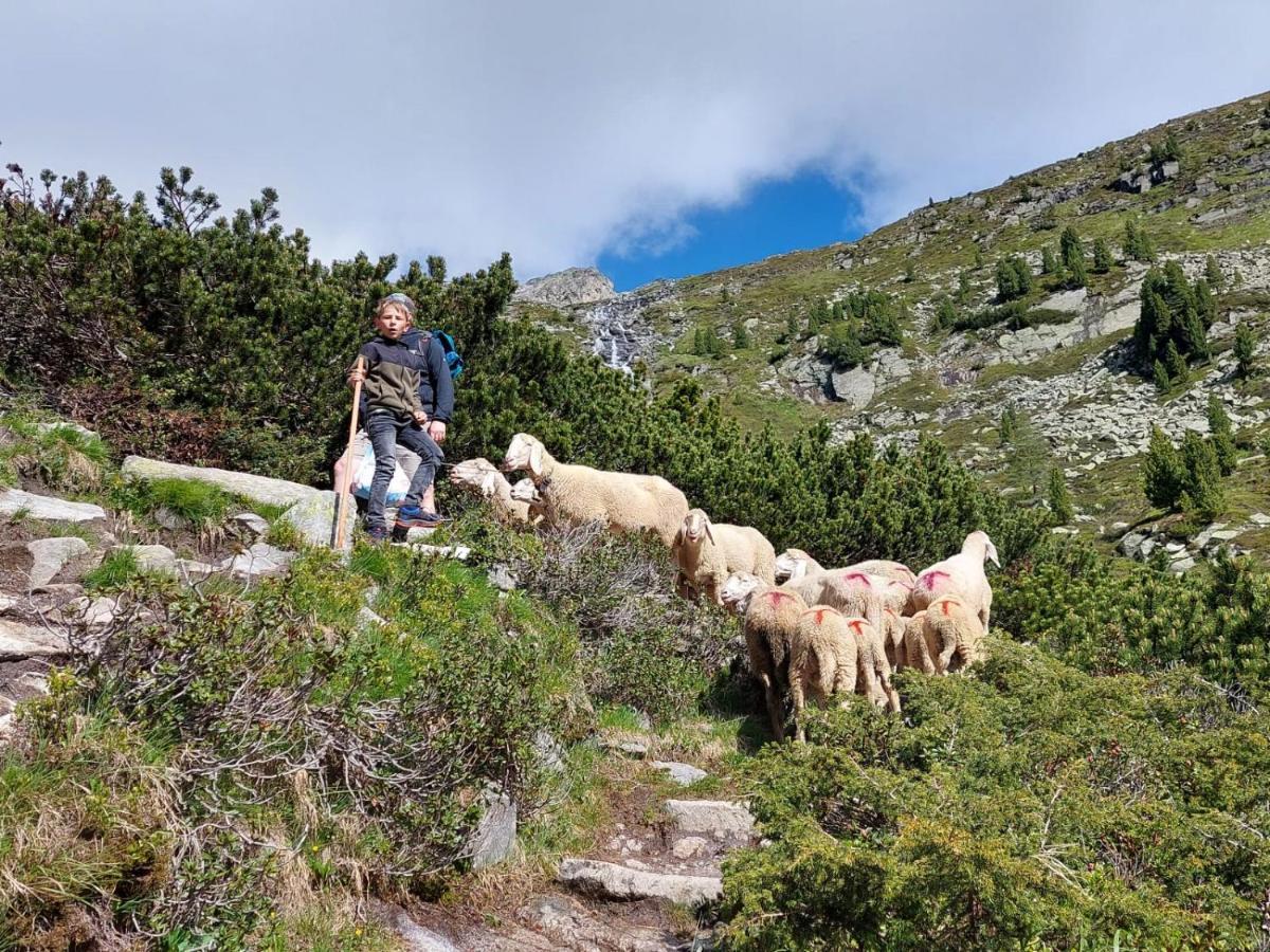 Aberghof Διαμέρισμα Fügen Εξωτερικό φωτογραφία
